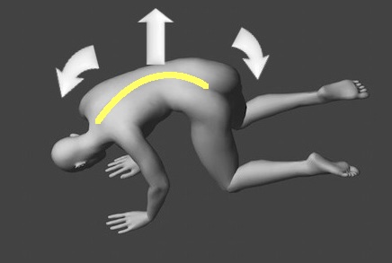 キャットエクササイズ画像3